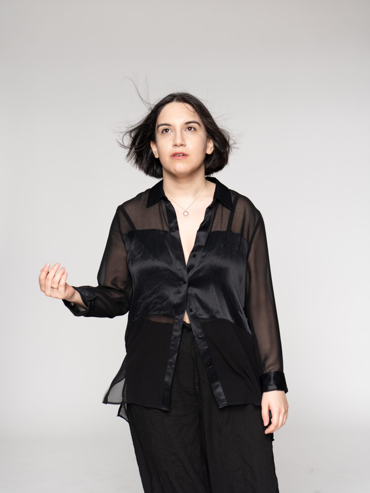 image is described in caption