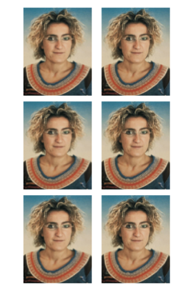 image described in caption